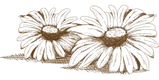 flower1